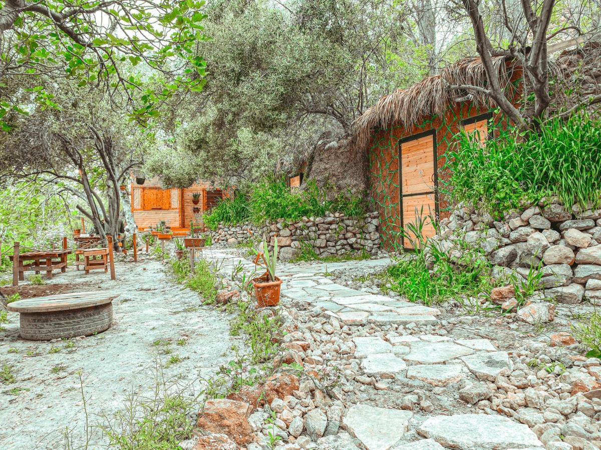 Hobbit Village Dana Extérieur photo